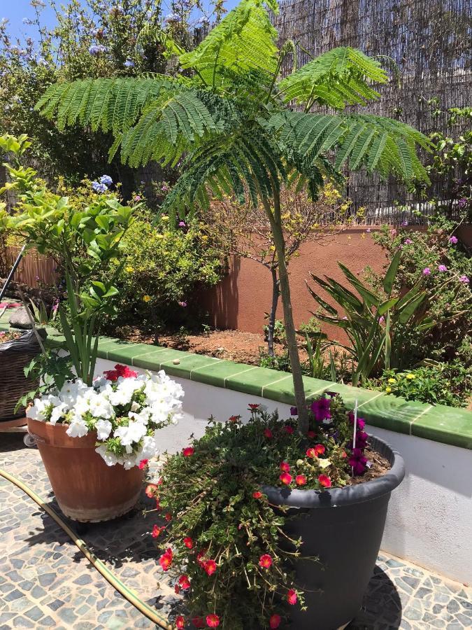 Apartamento Con Encanto En La Playa Frente Al Mar "Posada Rent House" Puerto del Rosario  Dış mekan fotoğraf